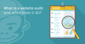 What is a Website Audit and What Does it do?