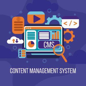 Content Management System | Cheeky Monkey Media